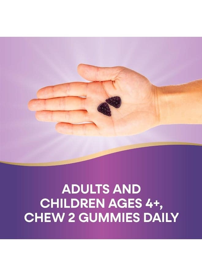 Sambucus Immune Gummy Elderberry 60 Gummies Packaging May Vary