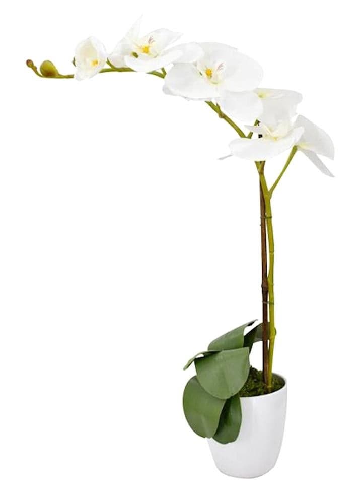 Orchid Artificial Flower Plant With Vase White/Green