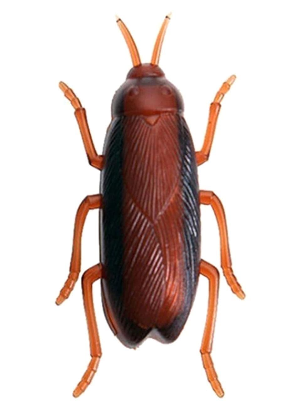 Electronic Crawling Cockroach Trick Toy