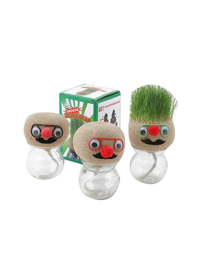 Growing Grass Head Grow For Small Time Indoor Plant 13x9cm