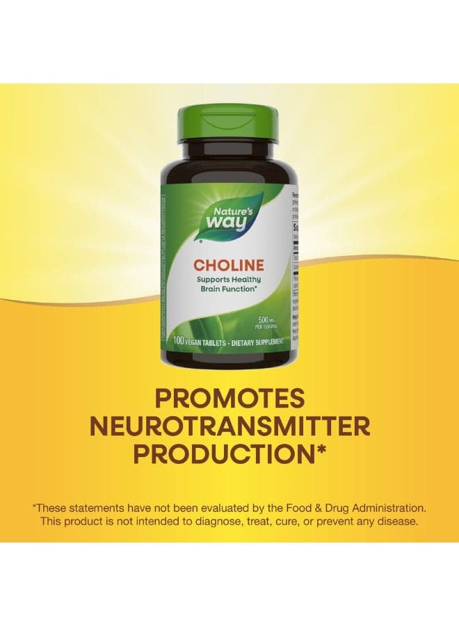 Choline 500 mg - 100 Vegan Tablets Packaging May Vary