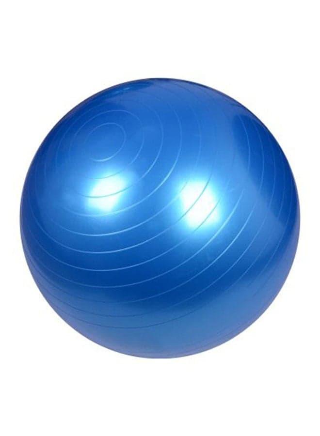 Anti Burst Gym Exercise Ball With Air Pump