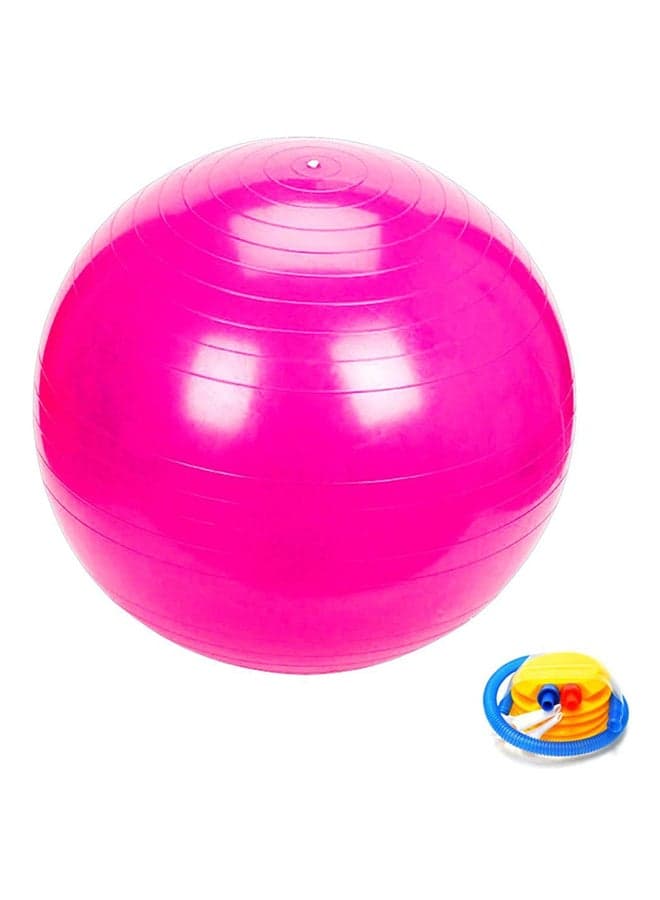Gym Exercise Swiss Ball, 65cm – Stability Ball for Core & Balance Training 65cm