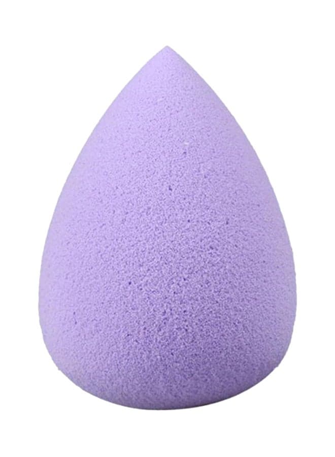Makeup Sponge Purple
