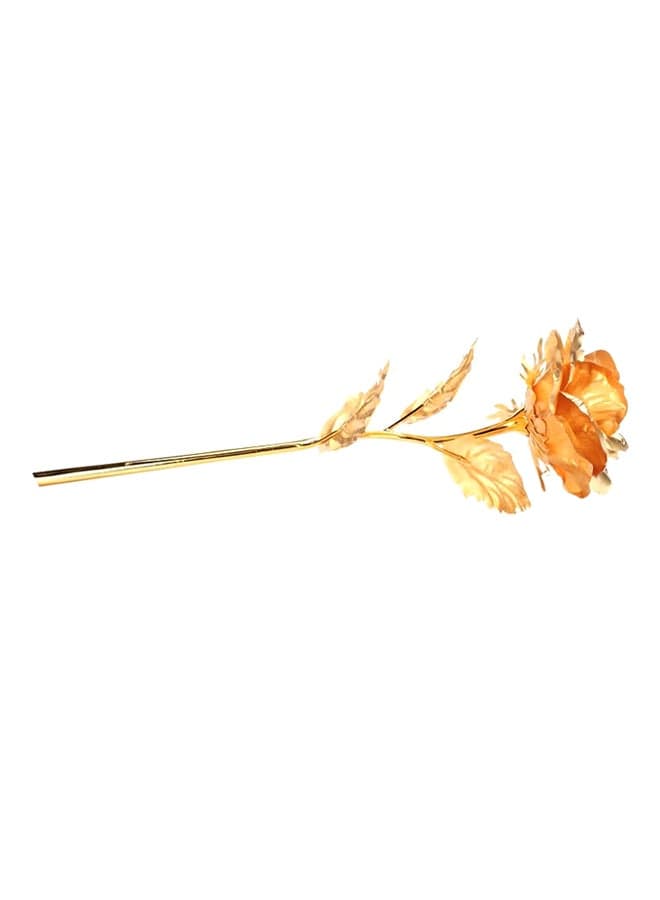 24K Plated Rose Gold 25x7.8centimeter