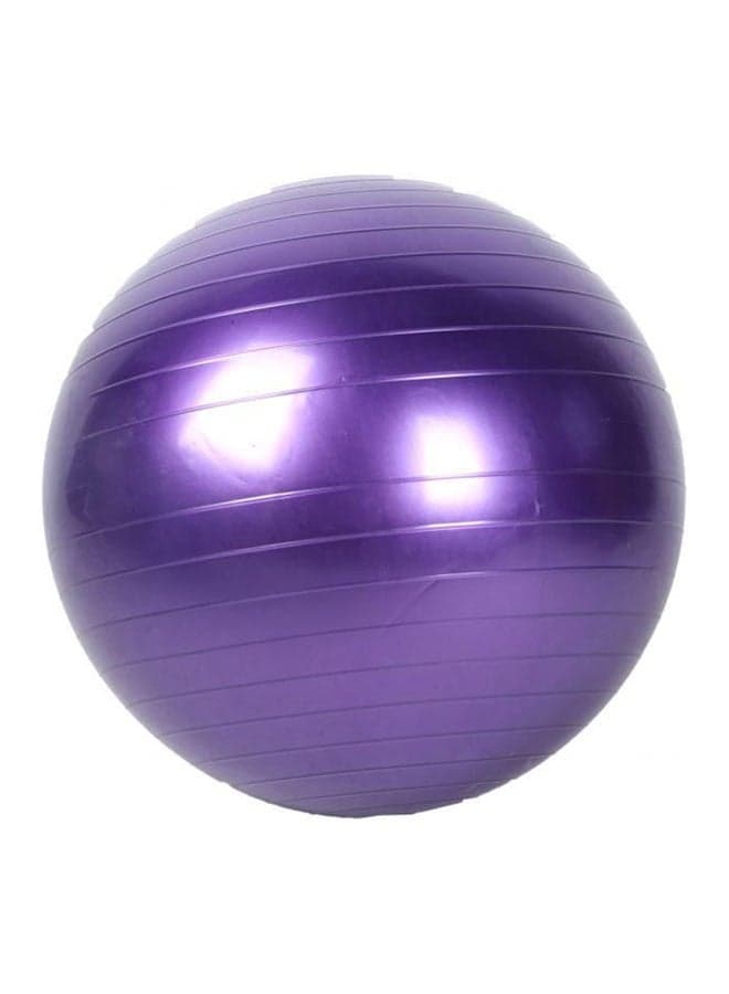 Aerobics Exercise Ball, 55cm – Stability Ball for Core & Aerobic Training 55cm