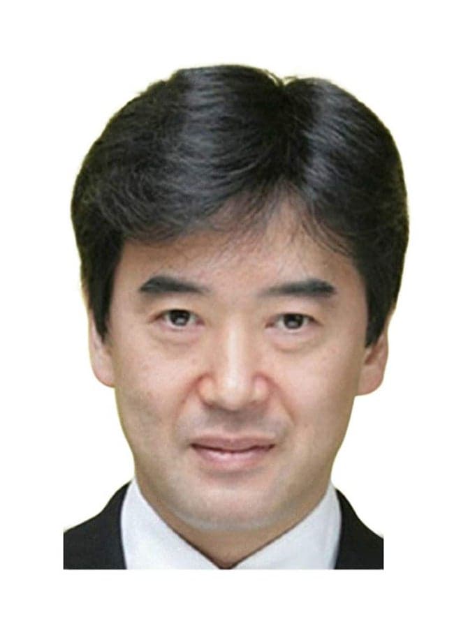Short Straight Toupee Wig Black