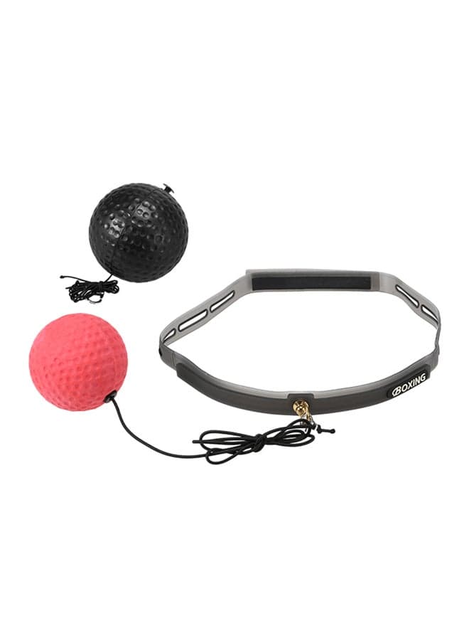 Boxing Reflex Ball 2 Level Pouching Ball With Sweat Band