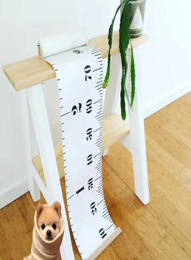 Baby Growth Chart Ruler