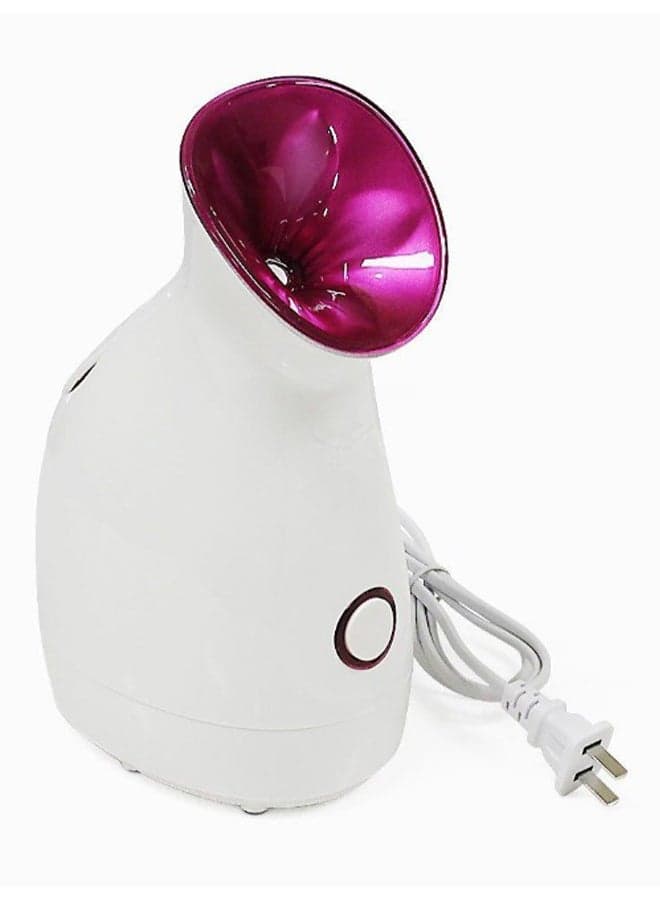 Nano Ionic Facial Steamer