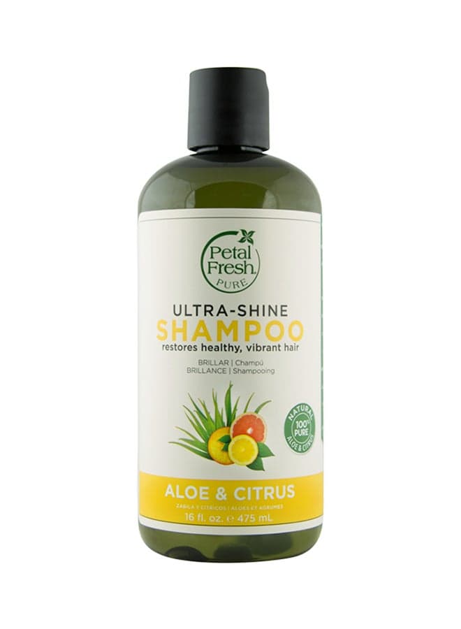 P Aloe And Citrus Shampoo