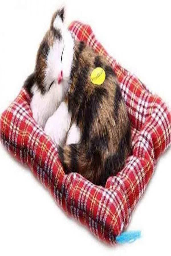 Cat Plush Toy