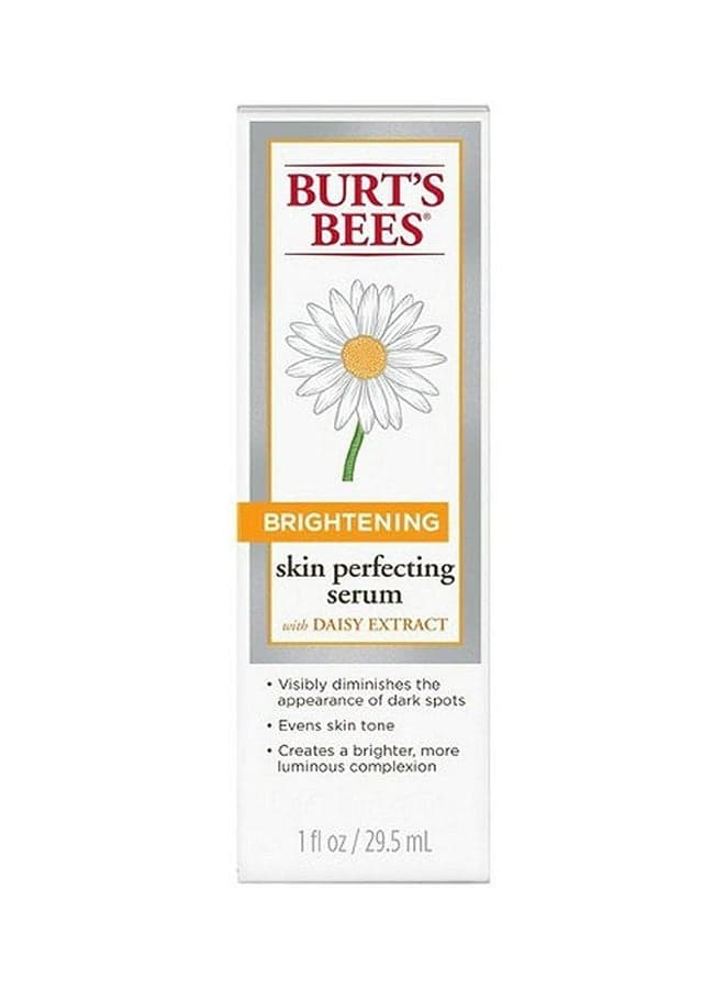 Burts Darkspot Correct Br 1Z Burts Dark Spot Corrector Brighting 1Z