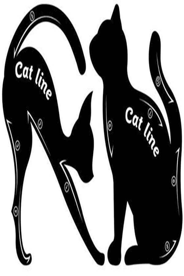 1 Pair Cat Eyeliner