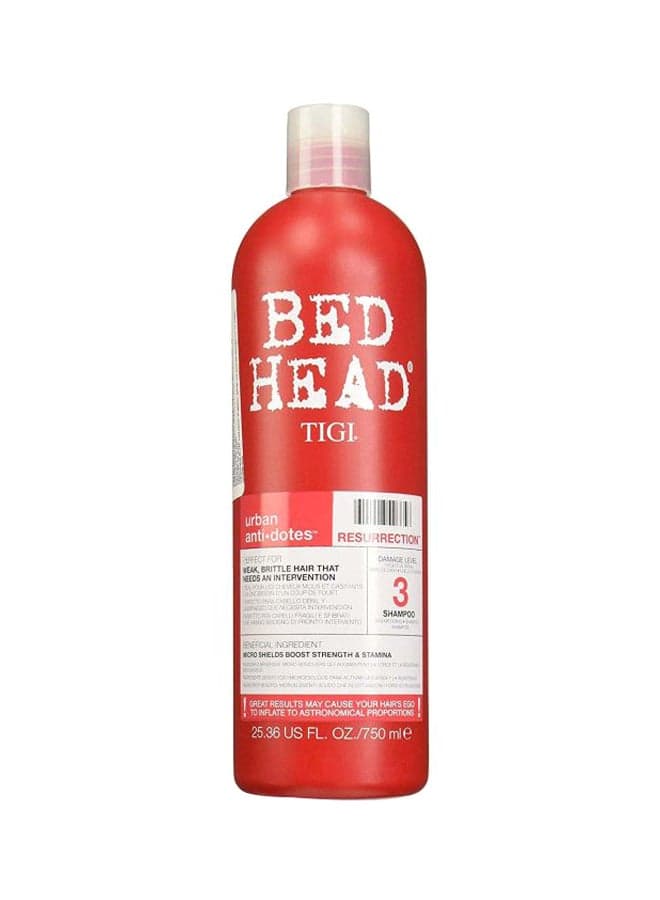 Bed Head Urban Anti Dotes Resurrection Shampoo