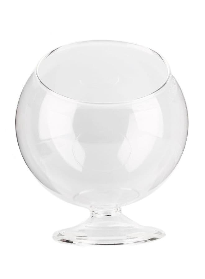 Hydroponic Aquarium Style Glass Vase Clear