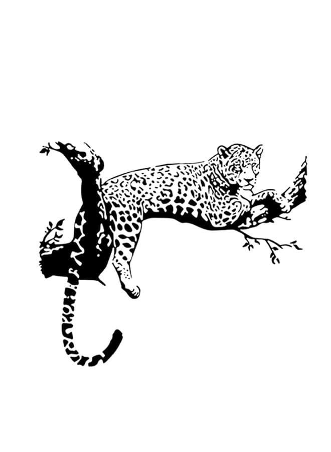Leopard Pattern Decorative Wall Sticker Black/White 48 x 80cm
