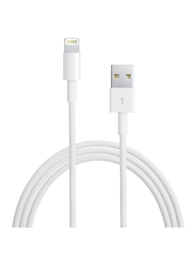 iPhone Charging Cable White