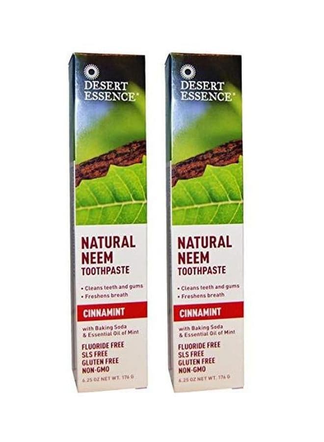 Pack Of 2 Natural Neem Tootpaste Cinnamint Yellow