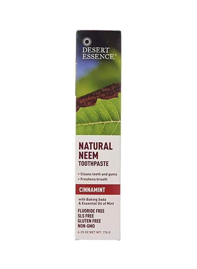 Natural Neem Cinnamint Toothpaste Brown