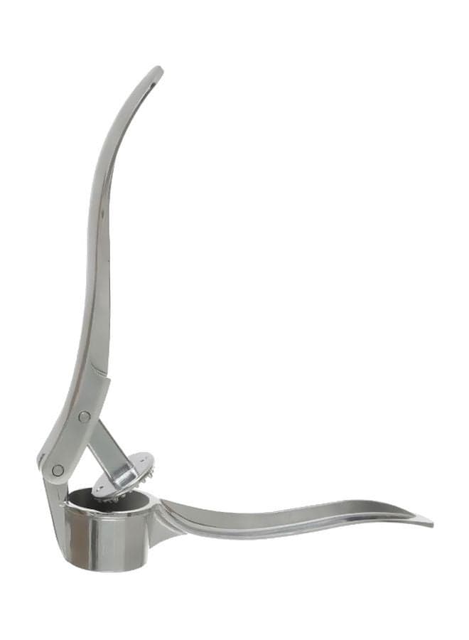 Stainless Steel Garlic Press Silver