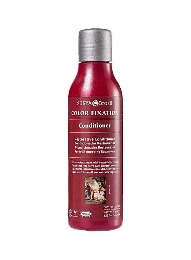 Color Fixation Restorative Conditioner