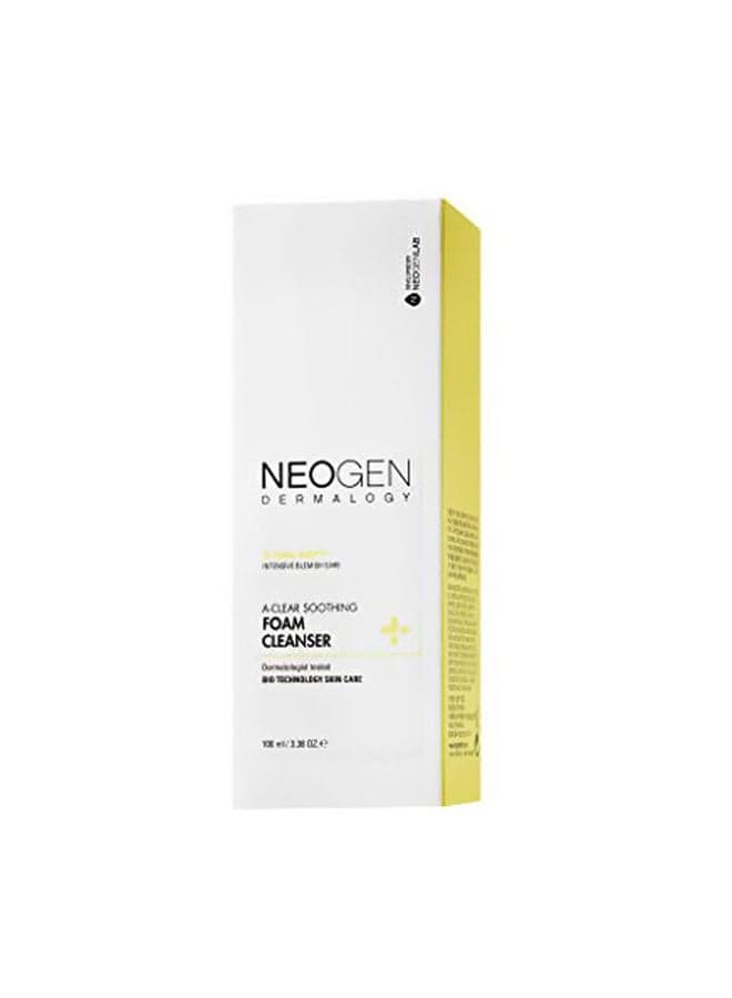 Dermalogy a clear Soothing Foam Cleanser 100ml