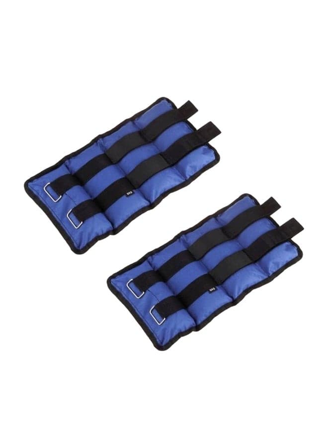 2-Piece Sand Weights With Carrying Bag - 4 Kg 4kg