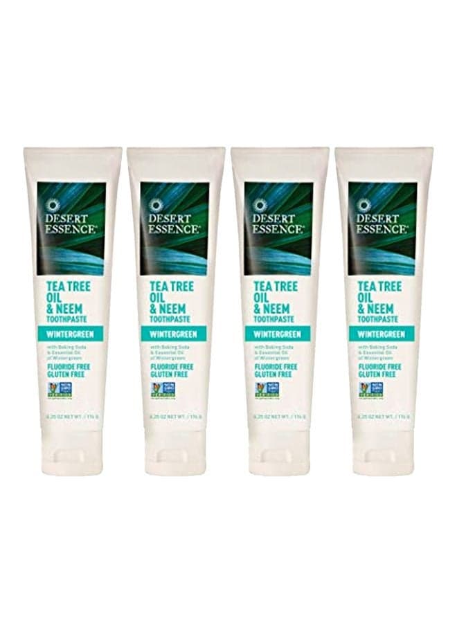 4-Piece Tea Tree Toothpaste Fennel Multicolour