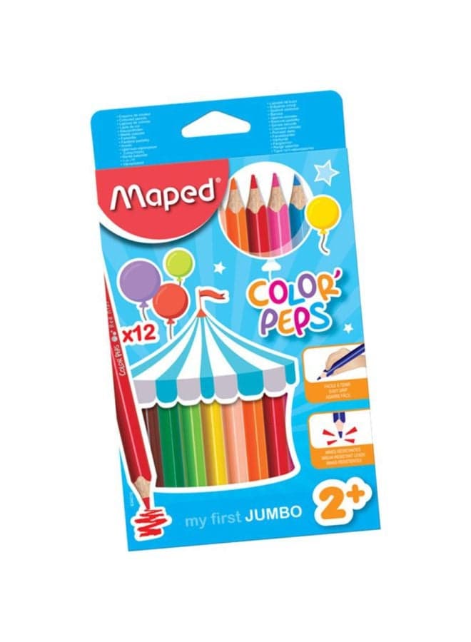 12-Piece Color Pencil Set Multicolour