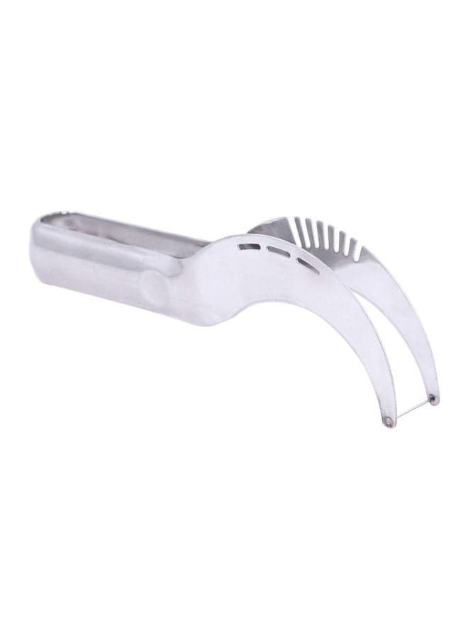 Watermelon Corer And Server Silver 3x1x9inch