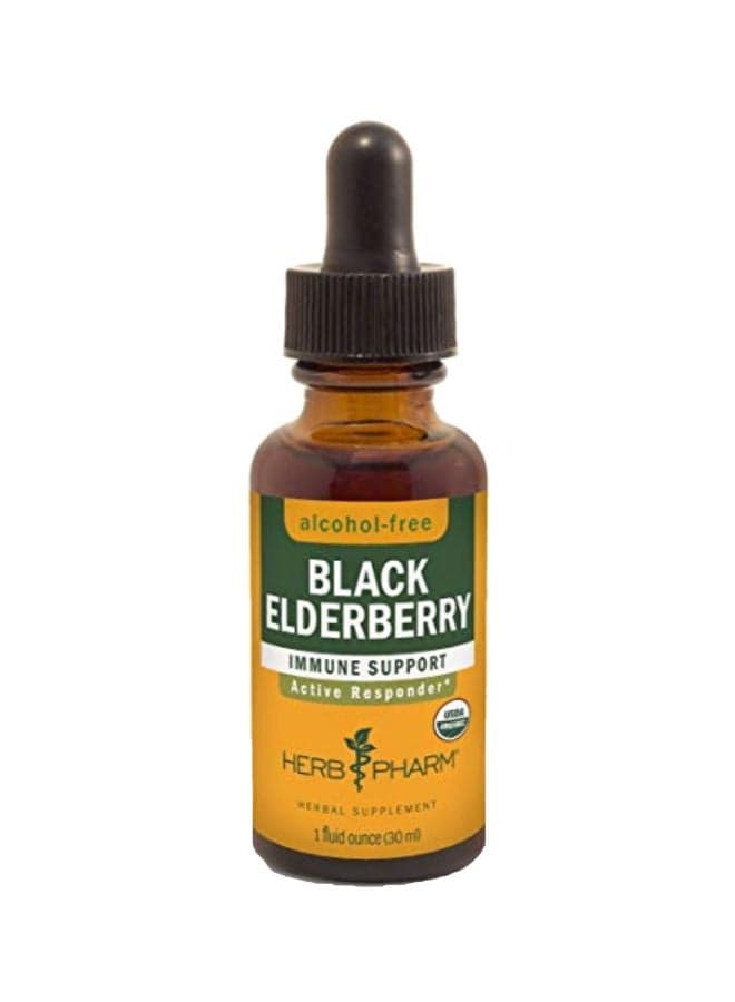 Black Elderberry Immune Support