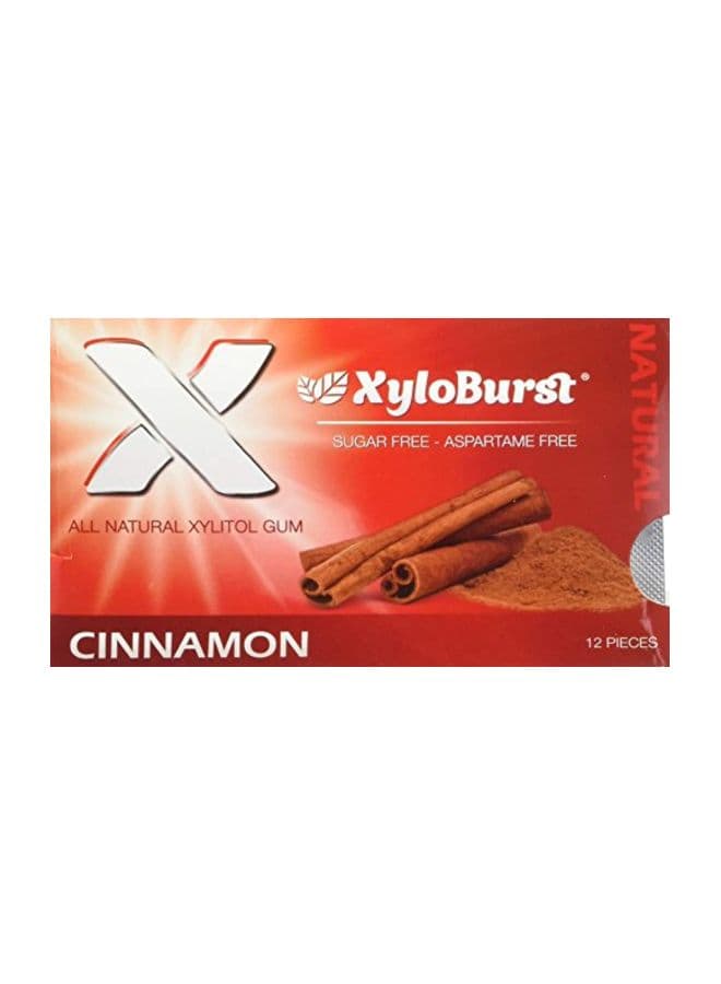 Xylitol Gum Cinnamon - 12 Gummies