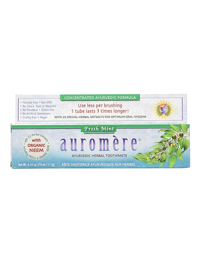 Ayurvedic Herbal Toothpaste Fresh Mint