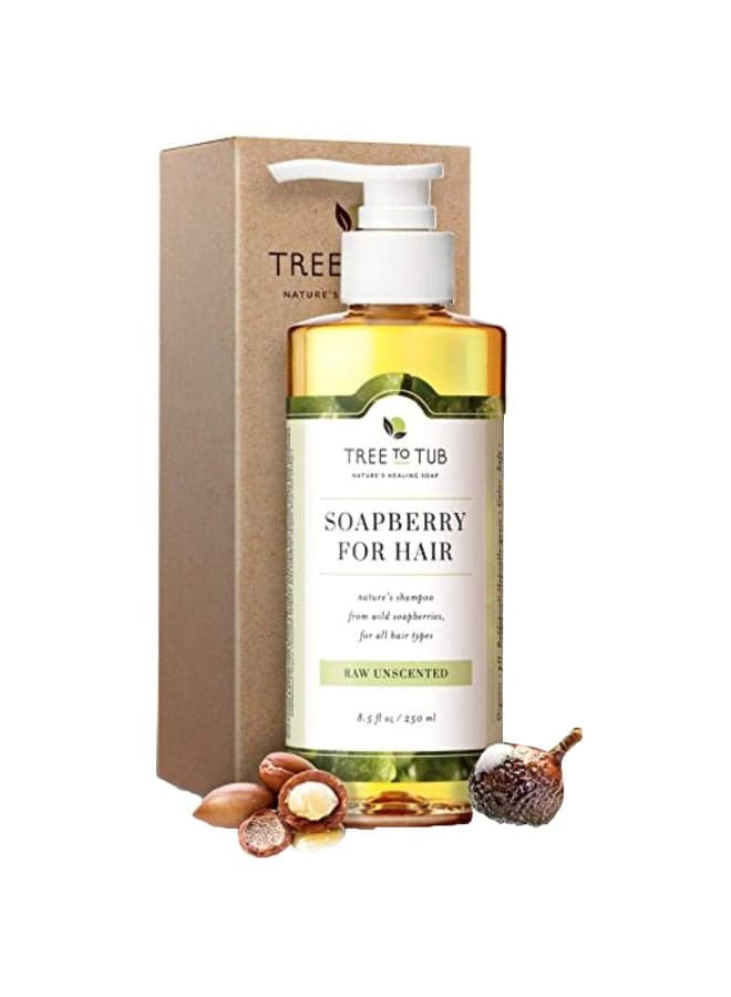 Soap Berry Shampoo