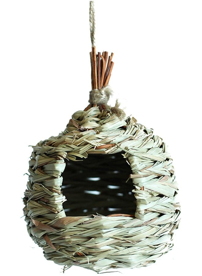 Parrot Canary Cockatiel Grass Bird Nest Multicolour