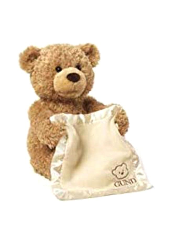 Peek A Boo Teddy Bear