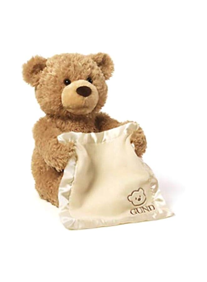Peek A Boo Teddy Bear