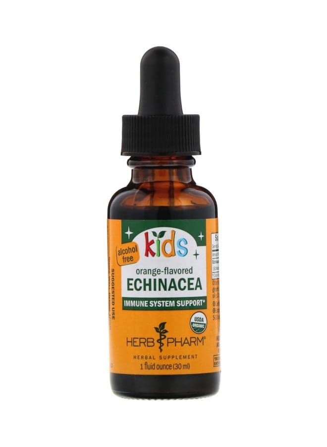 Echinacea Immune Support System