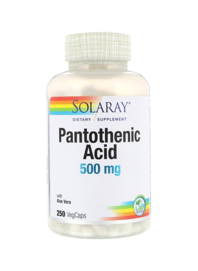 Pantothenic Acid500mg - 250 Capsules