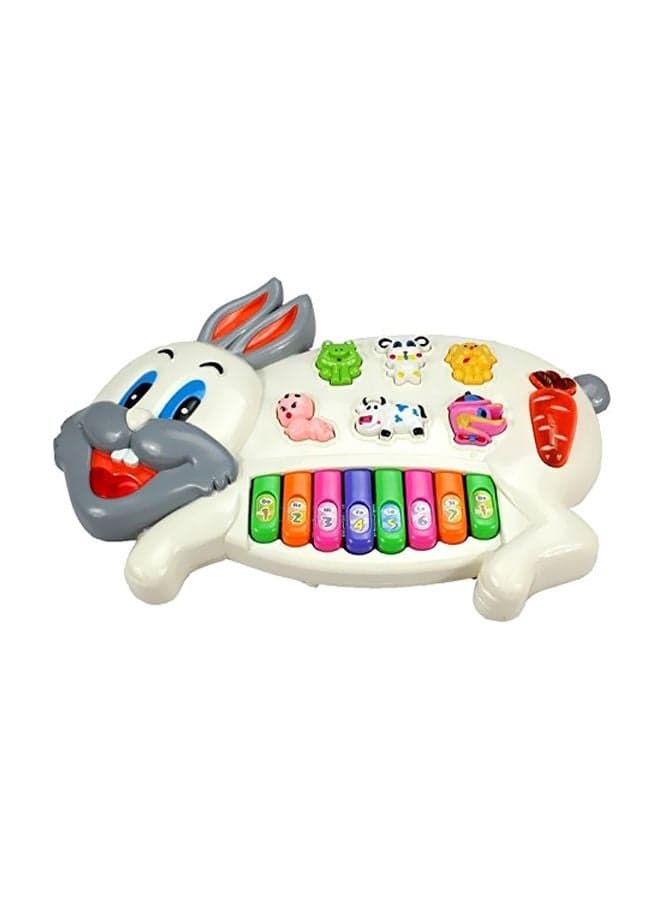 Rabbit Shaped Piano