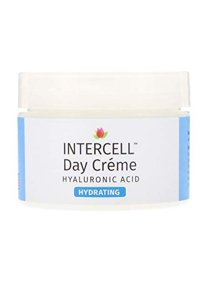 Intercell with Hyaluronic Acid Day Cream