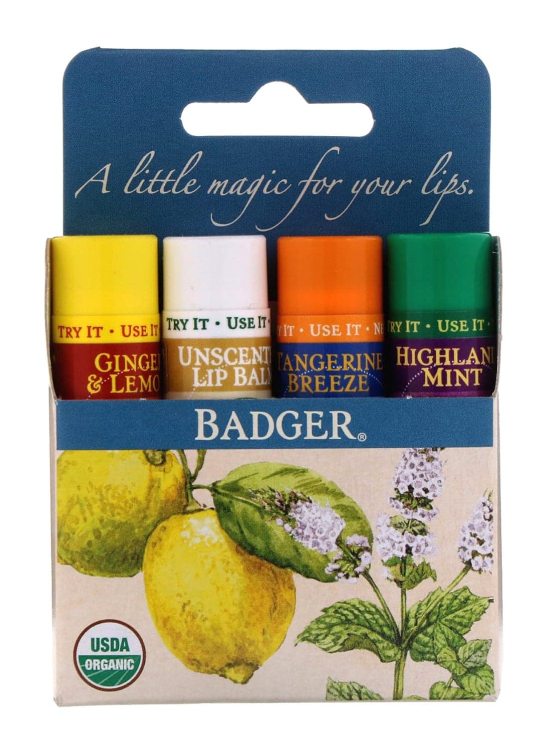 4-Piece Lip Balm Stick Set 4 x 4.2grams