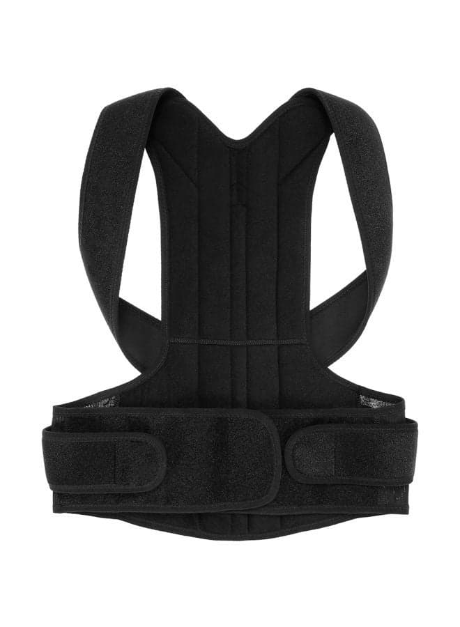 Back Support Strap Belt