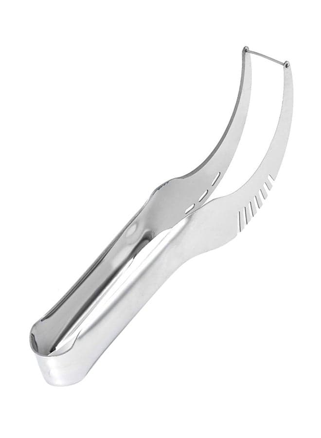 Fruit And Melon Slicer Silver 24cm