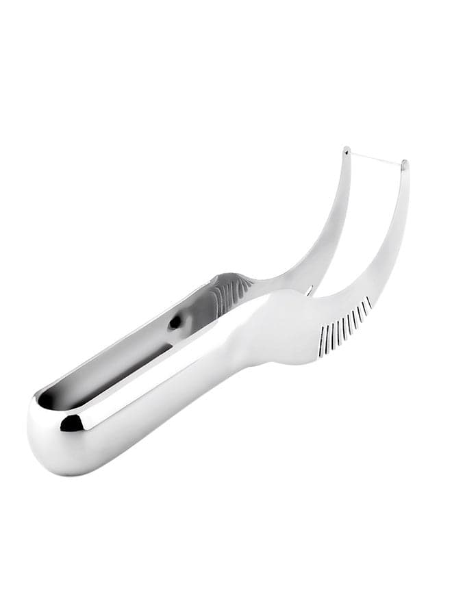 Fruit And Melon Slicer Silver 24cm