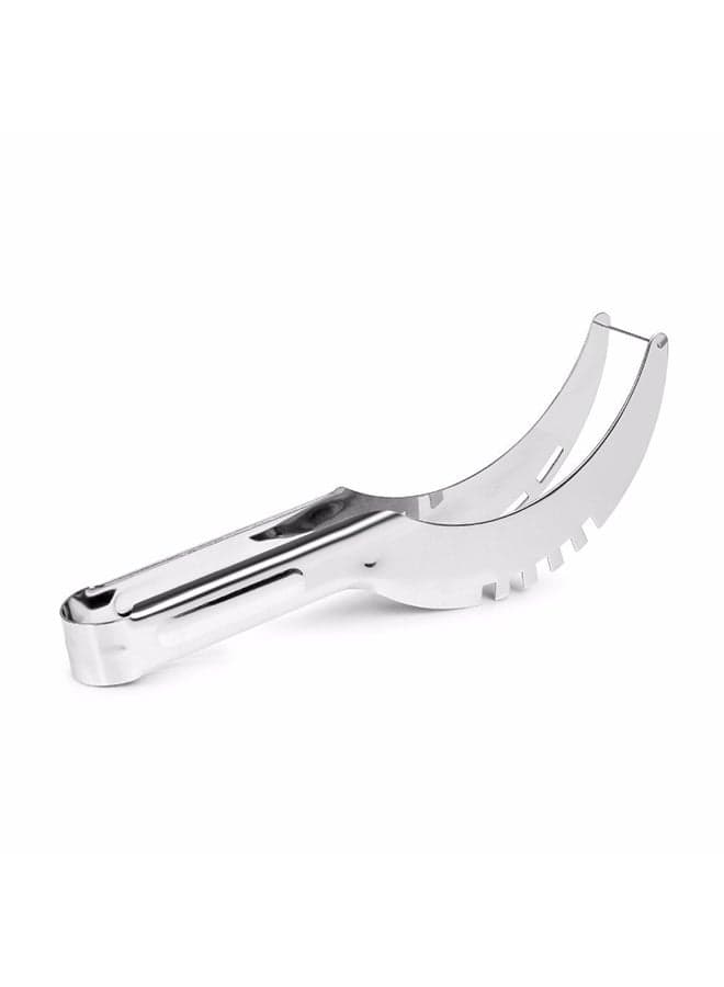 Fruit And Melon Slicer Silver 24cm