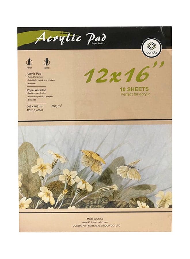 Oil And Acrylic Pad 10 Sheets 12x16 inch Multicolour