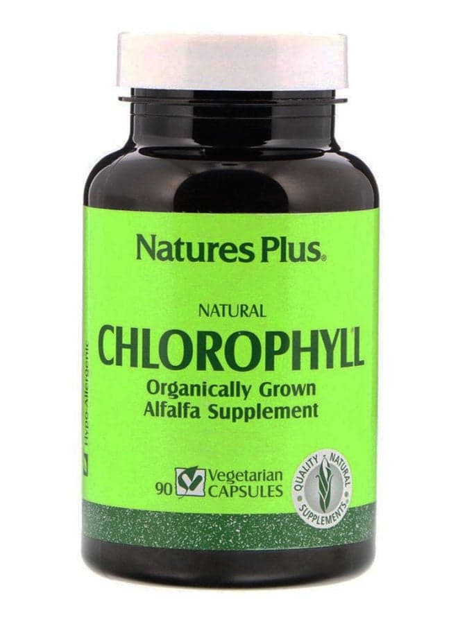 Natural Chlorophyll Alfalfa Supplement - 90 Vegetarian Capsules