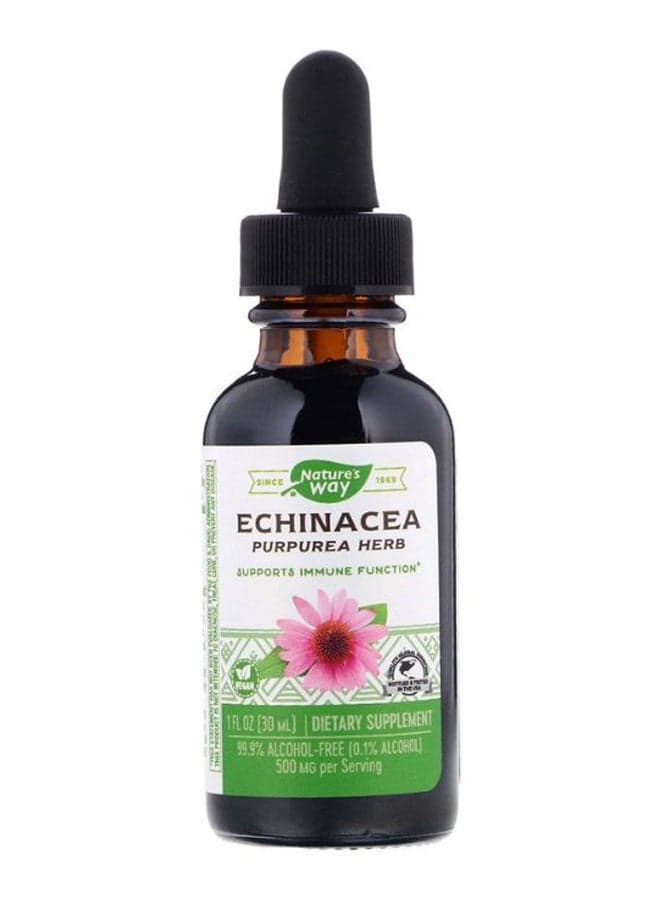 Echinacea Purpurea Herb Immune Function Support Dietary Supplement
